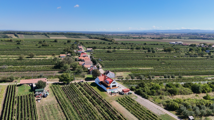 Snímek obrazovky 2025-11-06 151148.png