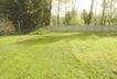 P1000507.JPG