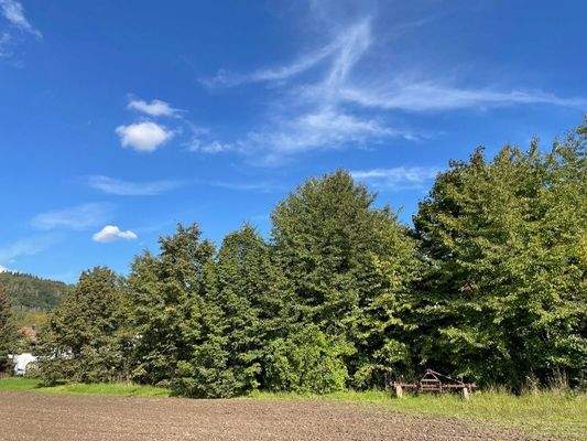 Ansicht von Südwest (1)