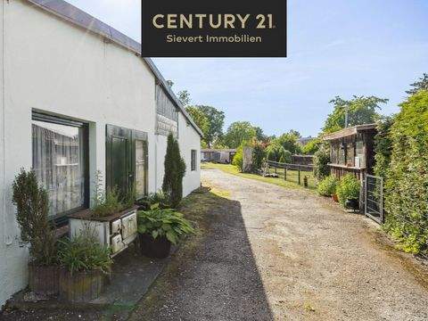 Munster Häuser, Munster Haus kaufen