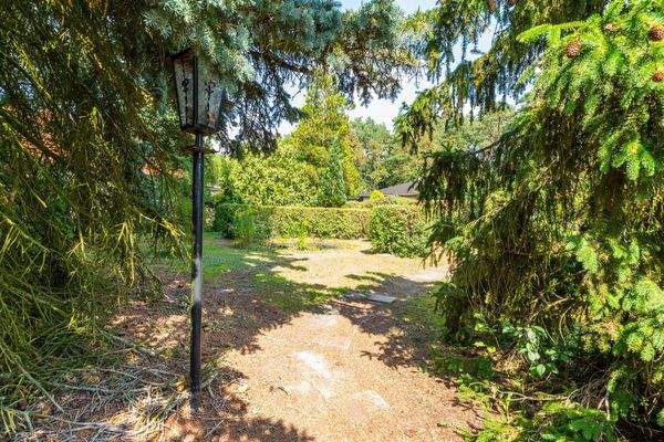 Ihr Blick ins Grüne – das Grundstück von vorne