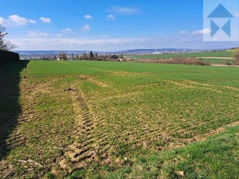 Osterhofen Bauernhöfe, Landwirtschaft, Osterhofen Forstwirtschaft