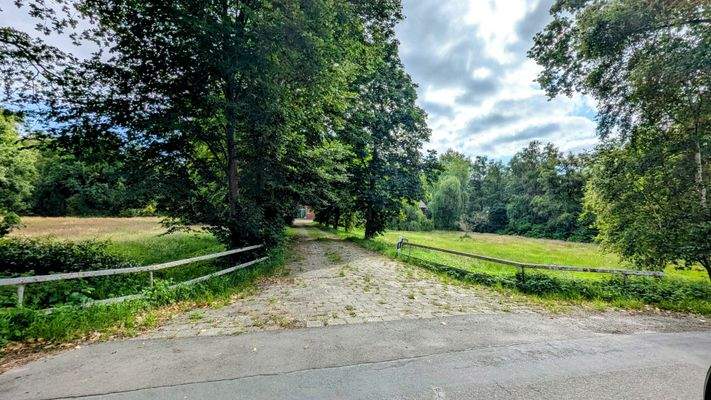 Kleine Weiden vor dem Hof