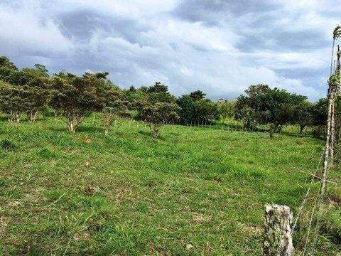 Arenal Häuser, Arenal Haus kaufen