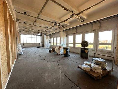 Glauchau Halle, Glauchau Hallenfläche