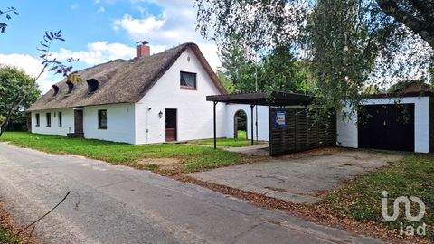 Ostenfeld Häuser, Ostenfeld Haus kaufen