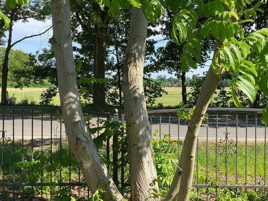 Blick auf das Nordfeld