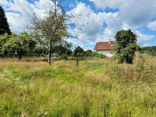 Apfel, Birne, Kirsche