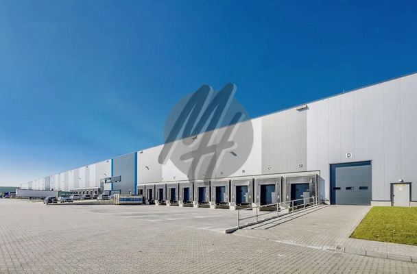 INFOS UNTER: 06171-586000