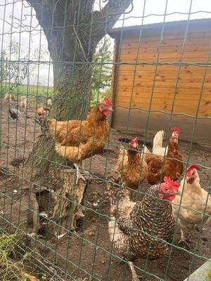 Außen_Nachbarschaft