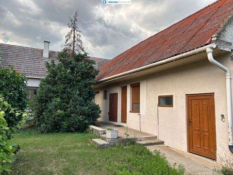 Tadten Häuser, Tadten Haus kaufen