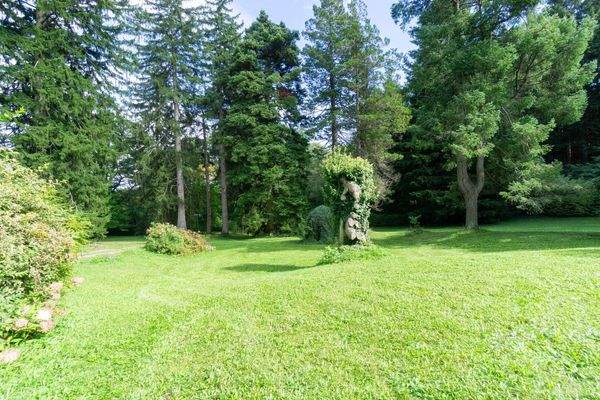 weitläufiger Garten