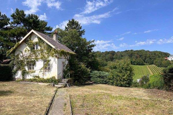 4c3835c5-54c3-4f9a-a