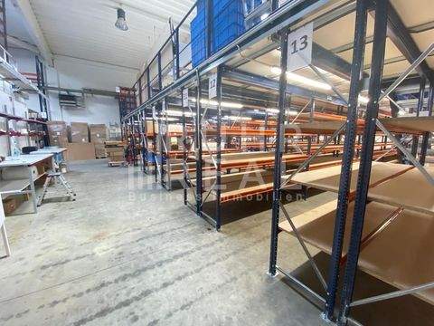 Viersen Halle, Viersen Hallenfläche