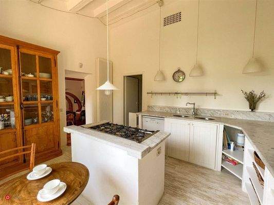 PHOTO-2023-06-21-23-39-03 23.jpg