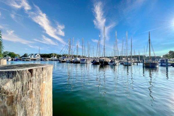 mit vielen Wassersportfreunden 