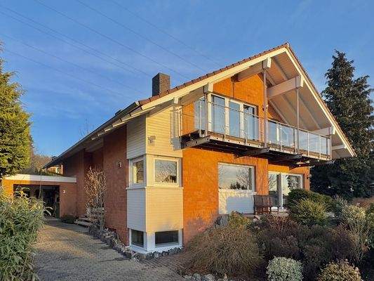 Vorder-Seitenansicht (2)