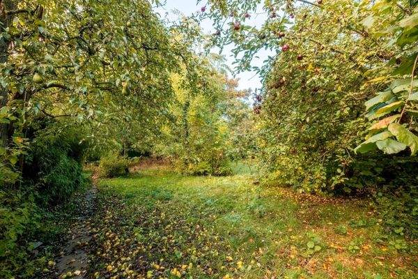 Platz für Ihr Traumhaus!