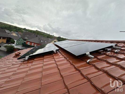 20250607_111024156_iOS