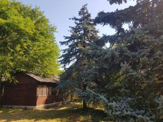 Dunaúj hird kép 10.jpg