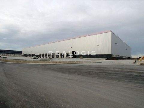 Erlensee Halle, Erlensee Hallenfläche