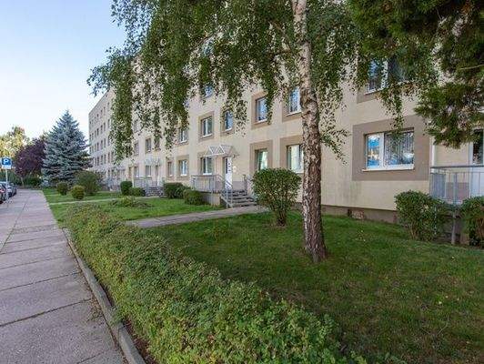 Ansicht Eingangsbereich und Vorgarten