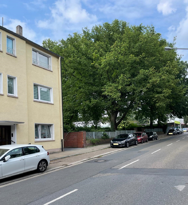 Haus- u. Straßenansicht