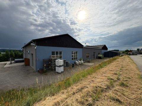 Eslarn Halle, Eslarn Hallenfläche