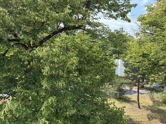 Ausblick Schlafzimmer