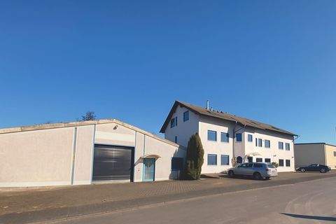 Buchholz Halle, Buchholz Hallenfläche