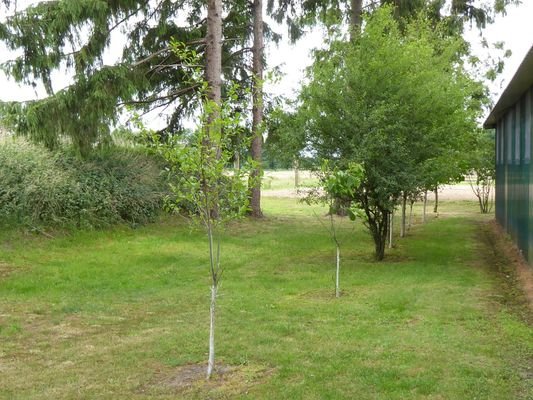 Bild 17