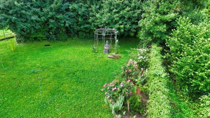 Blick in den Garten