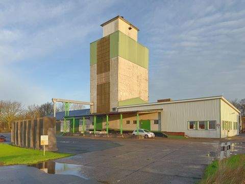 Reußenköge Halle, Reußenköge Hallenfläche