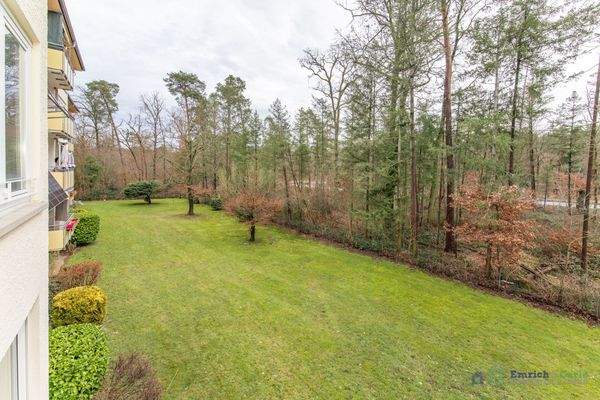 Ausblick / Grünflächen