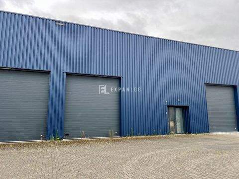 Leverkusen Halle, Leverkusen Hallenfläche