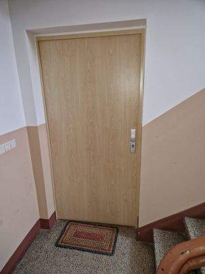 Wohnungseingangstür
