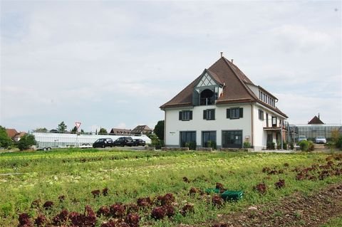 Insel Reichenau Wohnungen, Insel Reichenau Wohnung kaufen