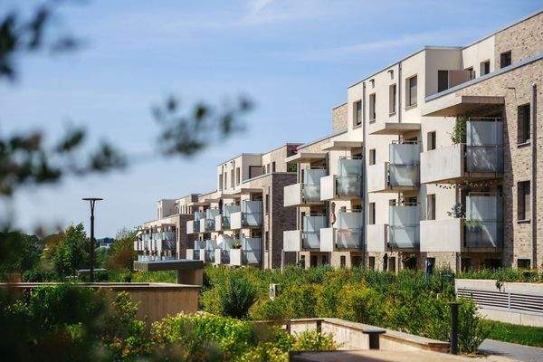 250617_Kleekamp_JS_204