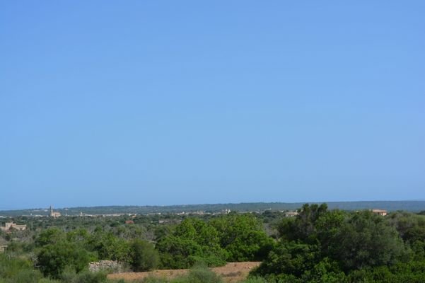DSC_0477