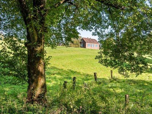 Rheinaue Friemersheim