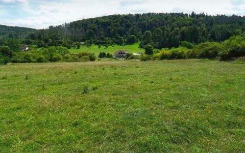 Hildburghausen Bauernhöfe, Landwirtschaft, Hildburghausen Forstwirtschaft