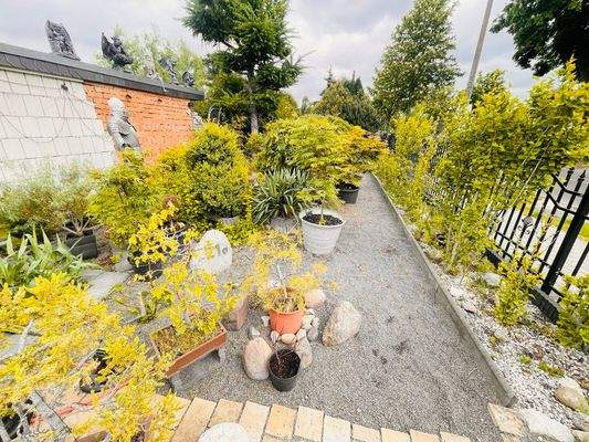 Blick in Richtung - Außenfläche - Gartenbereich