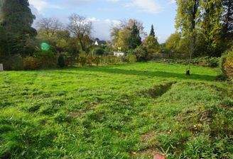 Blick in das Grundstück