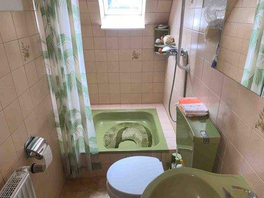 9102KC-18 Tageslicht-Duschbad