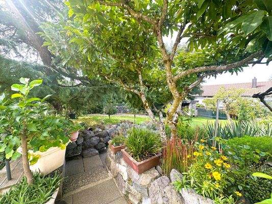 Impressionen Gartenbereich