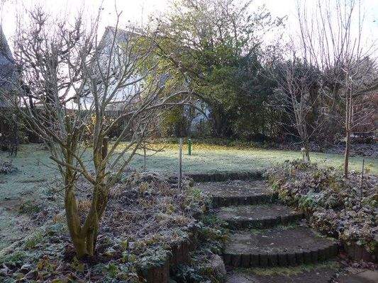 Blick zum Garten.JPG