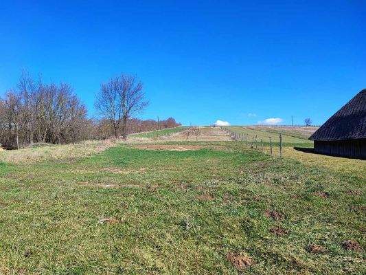 IMG_20250318_104839-