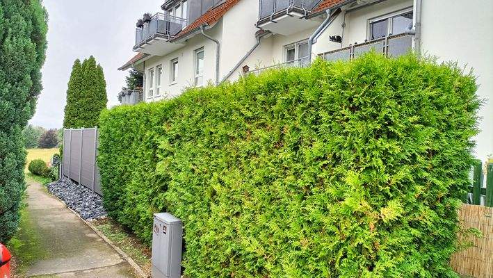 geschützte Terrasse.jpg