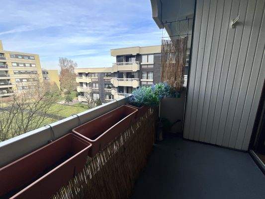 Balkon (Zugang vom Wohnzimmer)