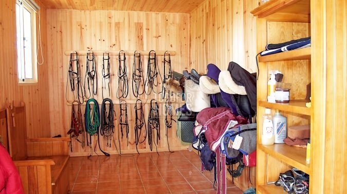 5.Tack room